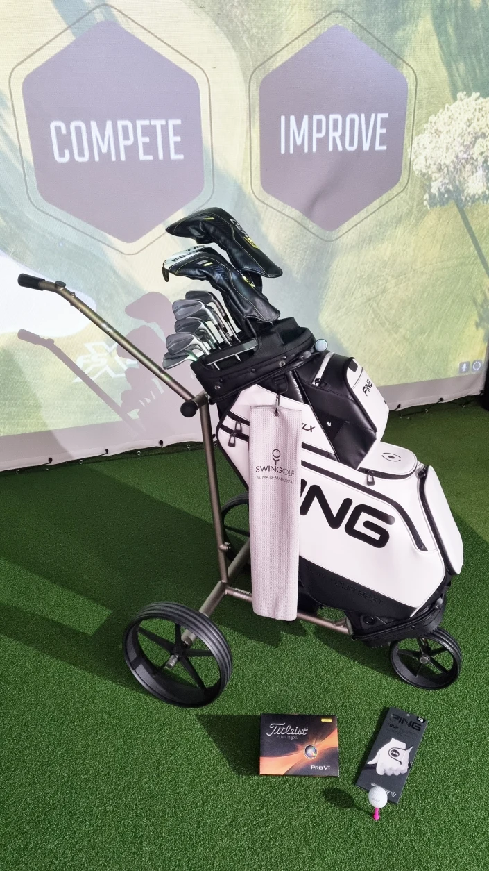 Swingolf palos de golf en tienda